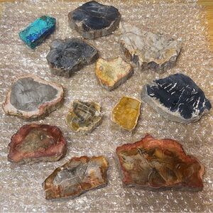 (12) Petrified Wood Slabs & Azurite Tower Crystal Natural Specimens Fossils Lot